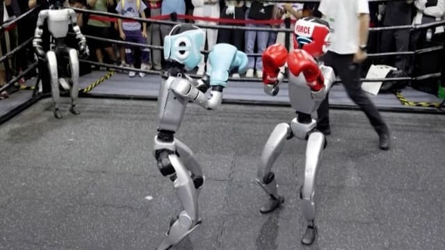 robots en el ring